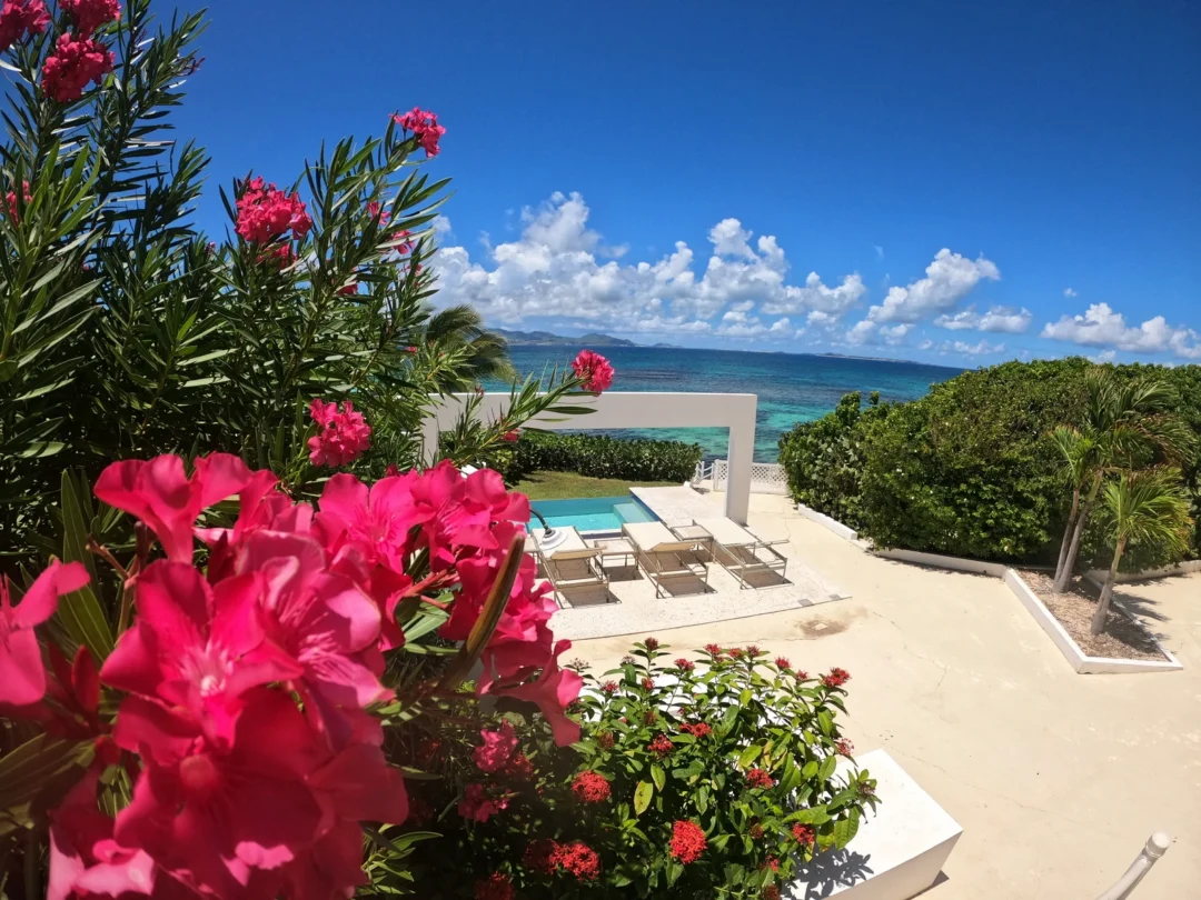 flowers of the resorf